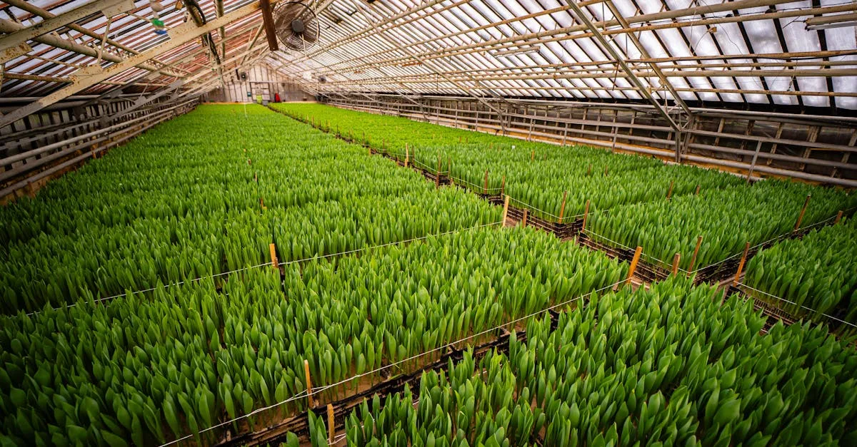 découvrez une ferme écologique innovante alliant agriculture durable et technologies avancées pour préserver l'environnement et promouvoir une production responsable.