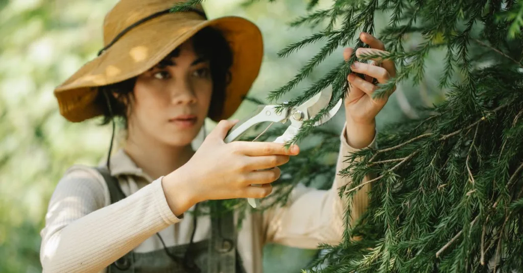 apprenez les meilleures techniques de taille pour vos plantes et arbres afin de favoriser leur croissance et leur santé.